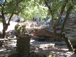 arbuda-270609 (25).html